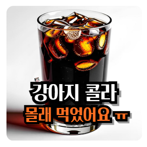 강아지-콜라