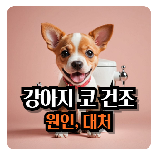 강아지-코-건조