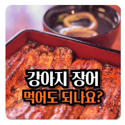 강아지-장어