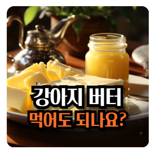 강아지-버터
