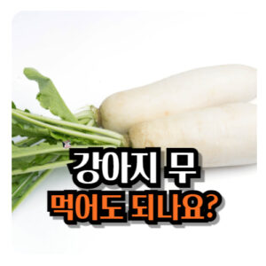 강아지-무