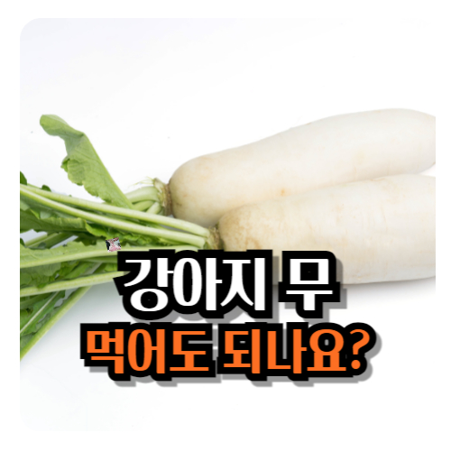 강아지-무