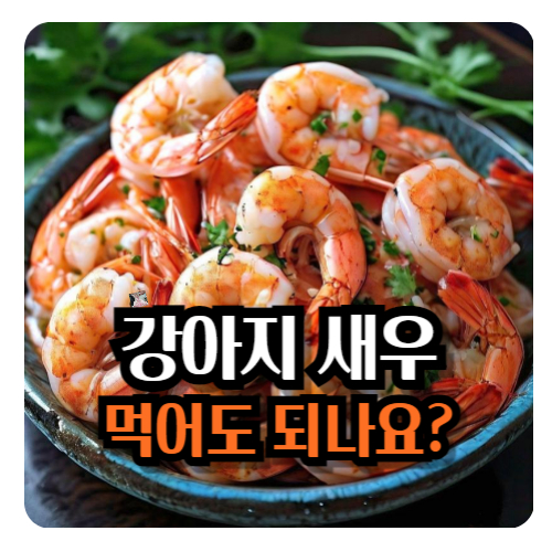 강아지-새우