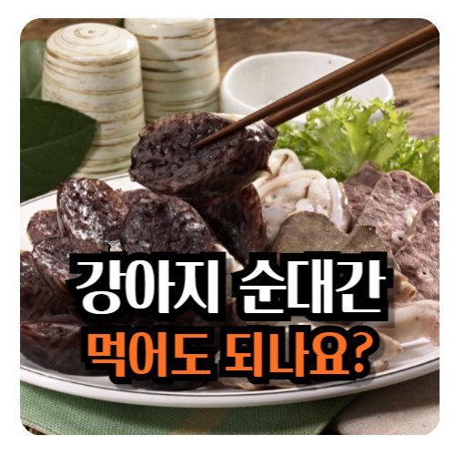 강아지-순대-돼지-간