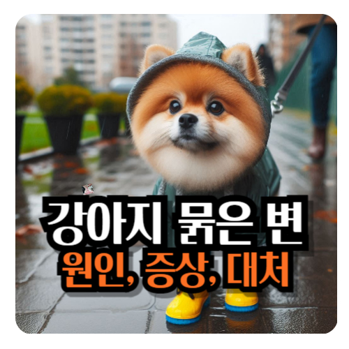 강아지-묽은-변