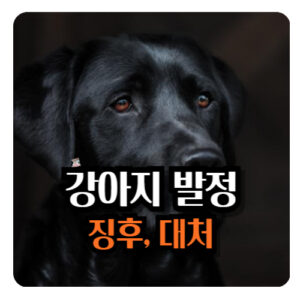 강아지-발정