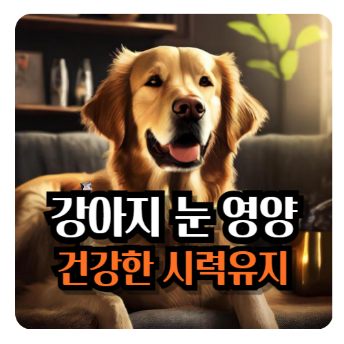 강아지-눈에-좋은