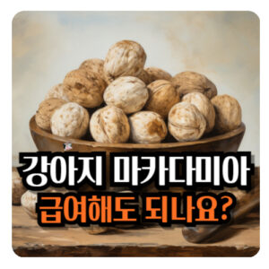 강아지-마카다미아