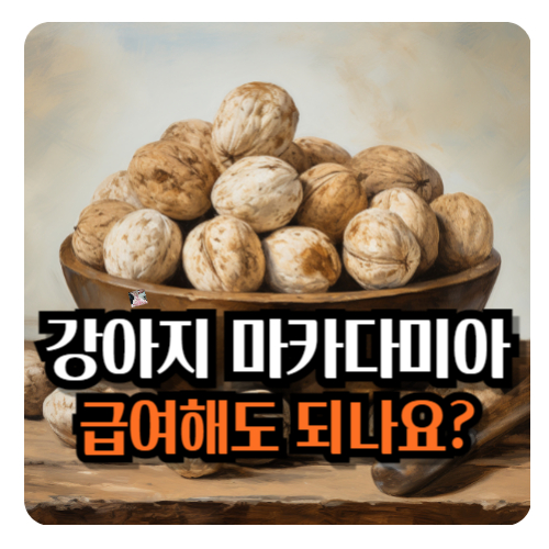 강아지-마카다미아