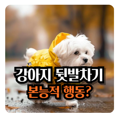 강아지-뒷발-차기