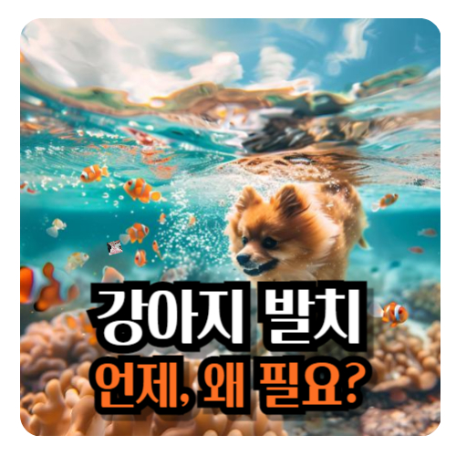 강아지-발치