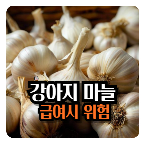 강아지-마늘