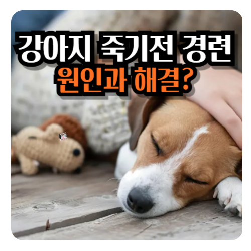 강아지-경련