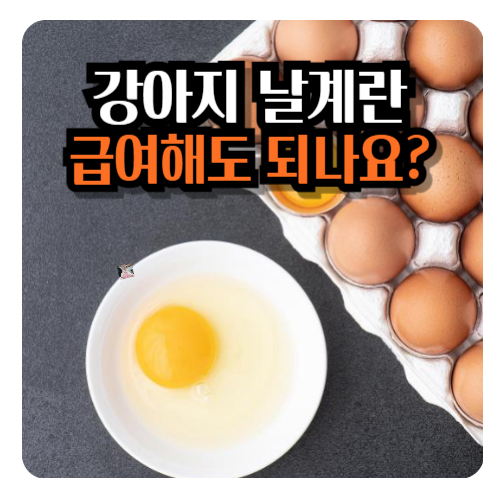 강아지-날계란
