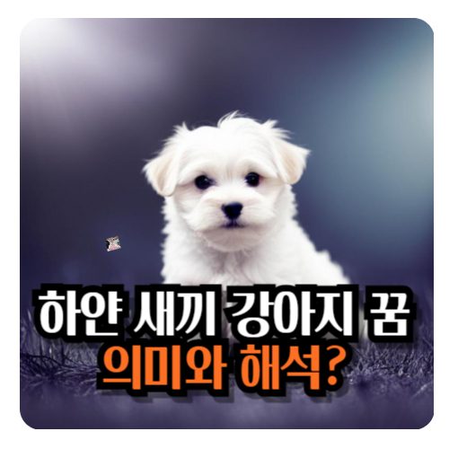 하얀-새끼-강아지-꿈