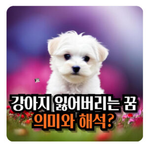 강아지-잃어버리는-꿈