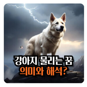 강아지-한테-물리는-꿈