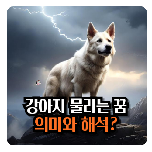 강아지-한테-물리는-꿈