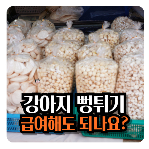 강아지-뻥튀기