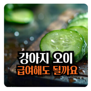 강아지-오이