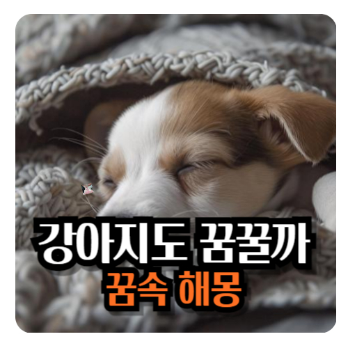 강아지-꿈-꿀까