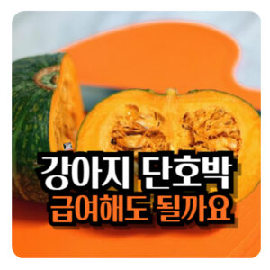 강아지=단호박