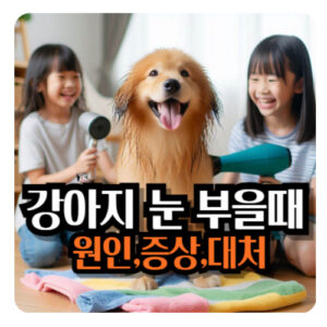 강아지-눈-부었을-때