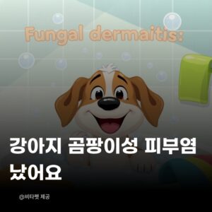 강아지-곰팡이성-피부염
