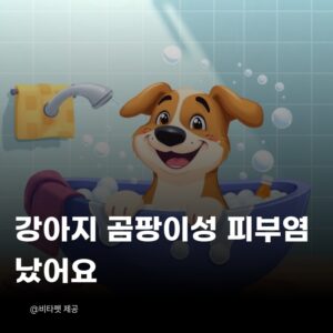 강아지-곰팡이성-피부염