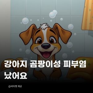 강아지-곰팡이성-피부염