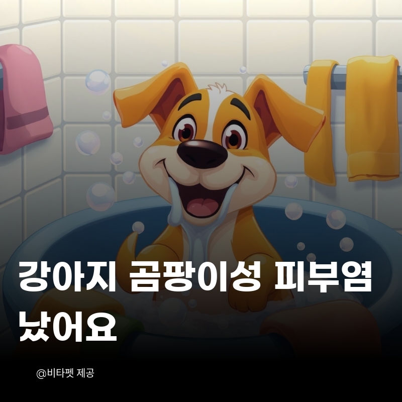 강아지-곰팡이성-피부염