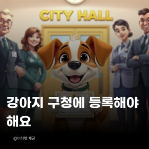 강아지-등록제