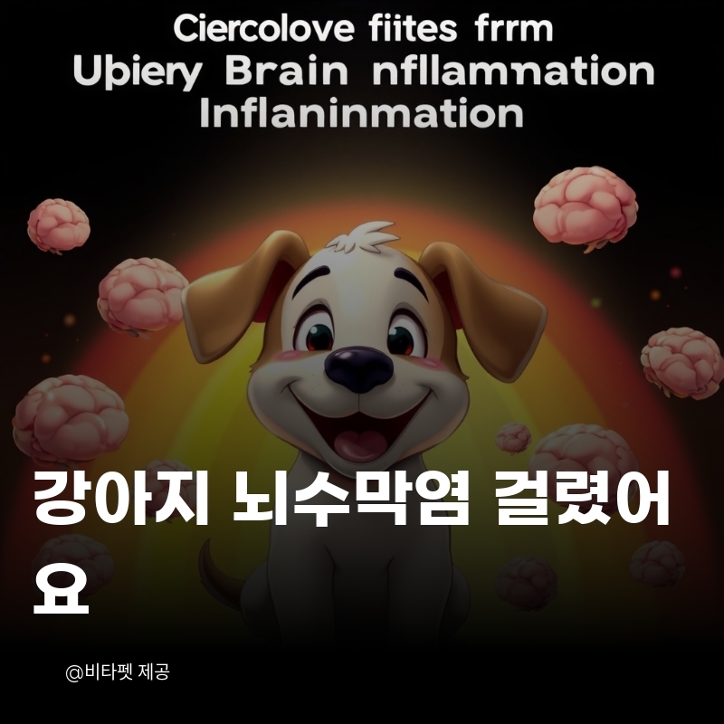 강아지-뇌수막염
