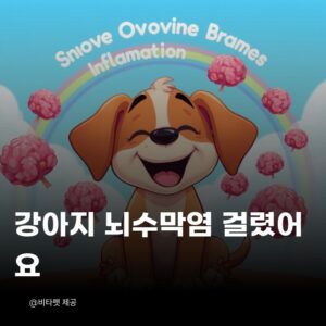 강아지-뇌수막염