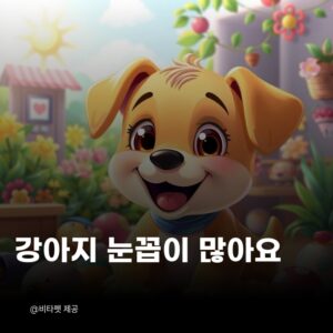 강아지-눈꼽