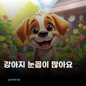 강아지-눈꼽