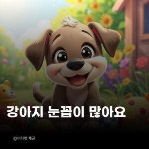 강아지-눈꼽