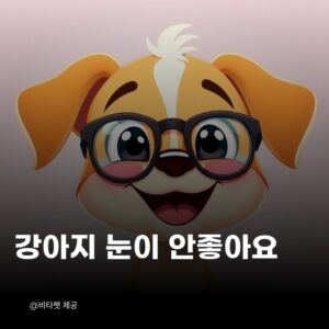 강아지-눈