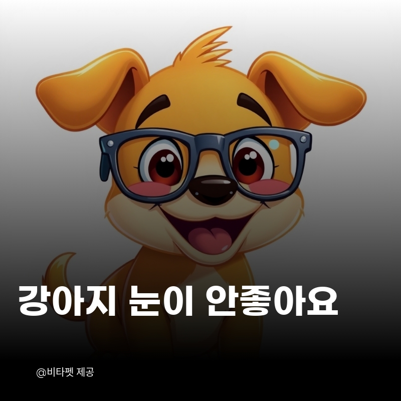 강아지-눈