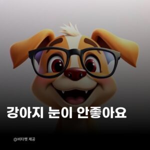 강아지-눈
