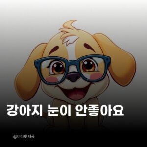 강아지-눈