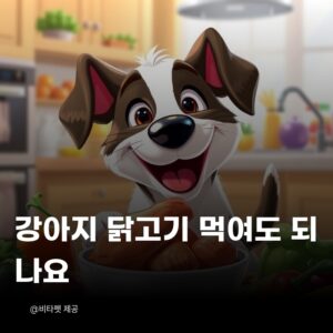 강아지-닭고기