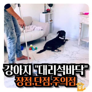 강아지-대리석