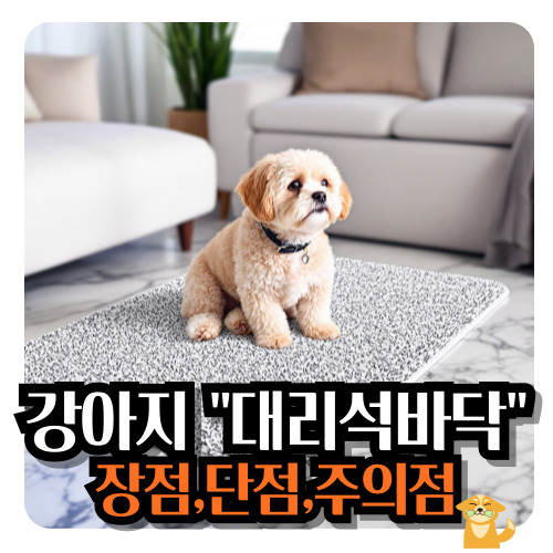 강아지-대리석