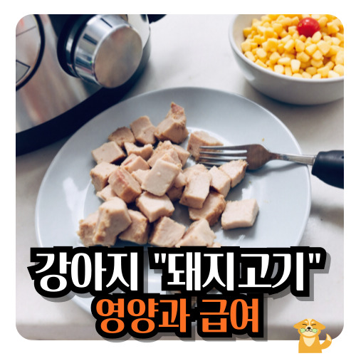강아지-돼지고기-영양-급여