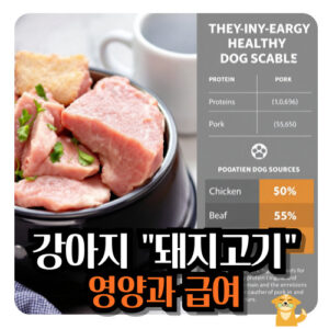 강아지-돼지고기-영양-급여