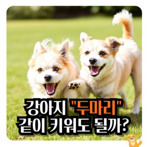 강아지-두마리-키우기