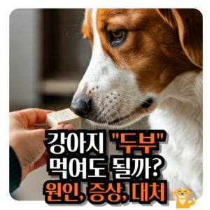강아지-두부-먹여도-될까요