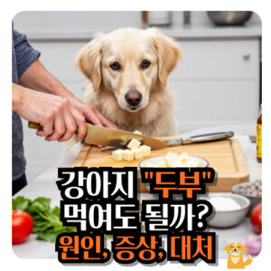 강아지-두부-먹여도-될까요