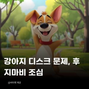 강아지-디스크-후지마비